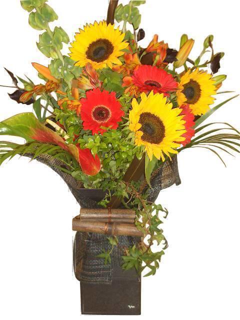 Card message ideas for Congratulations occasions.